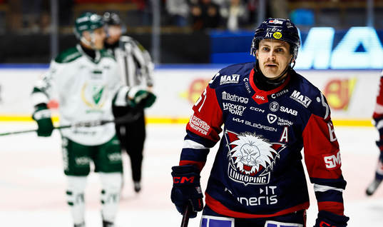 Linköpings Markus Ljungh jublar