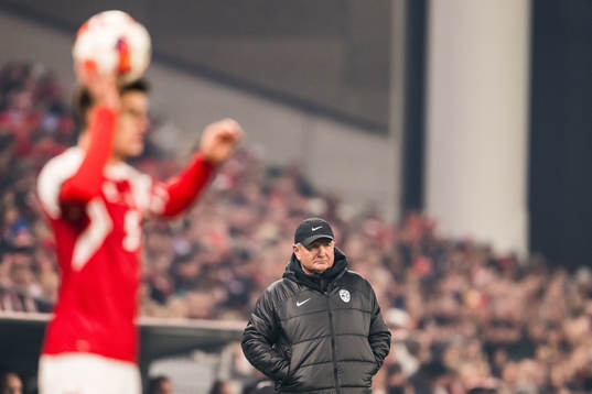 Head coach Matjaz Kek of Slovenia