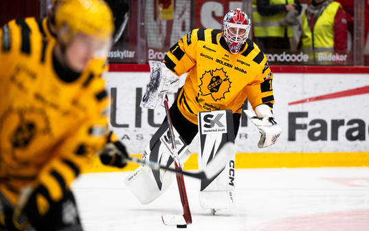Skellefteås målvakt David Rautio