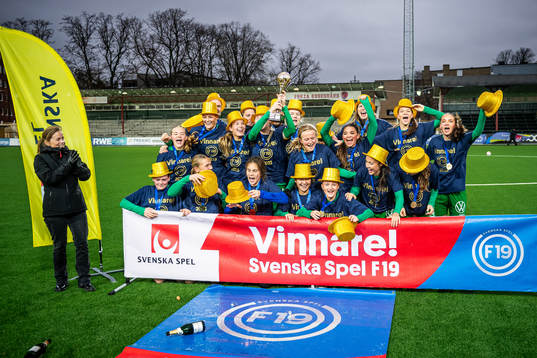 Hammarbys spelare och ledare jublar