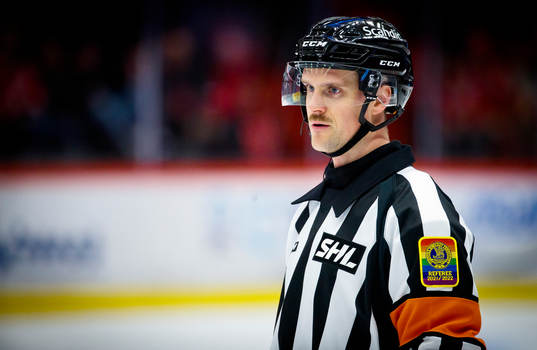 Domare Stefan Johansson