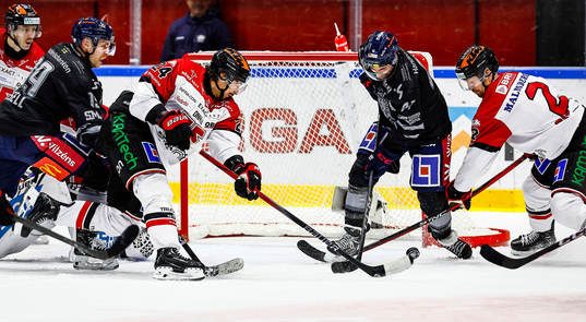 <örör24 och Linköpings Broc Little