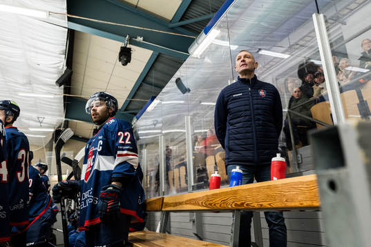 Helsingborgs tränare Daniel Ratushny