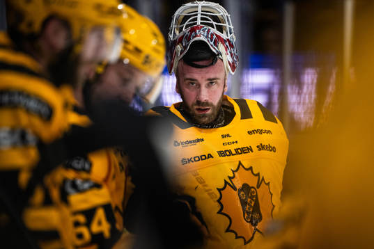 Skellefteås målvakt David Rautio