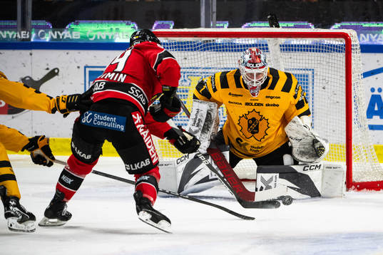 Luleås Brendan Shinnimin och Skellefteås målvakt David