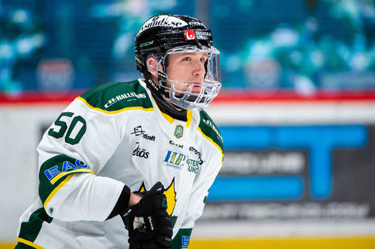 Östersunds Georgs Golovkovs