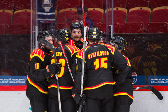 Brynäs Anton Rödin jublar