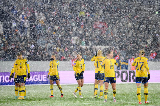 Players of Sweden