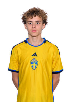 Vincent Seger Ibrahimovic poserar för ett porträtt