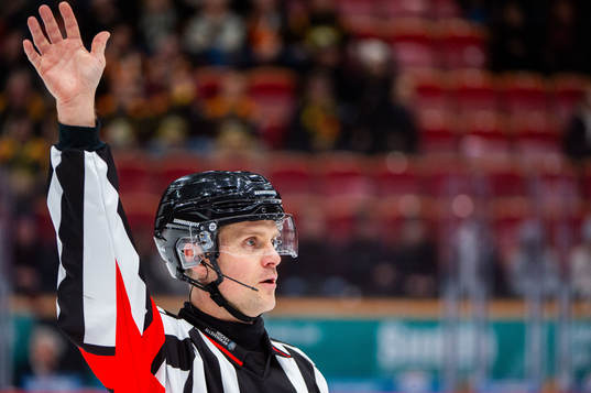 Domare Stefan Johansson