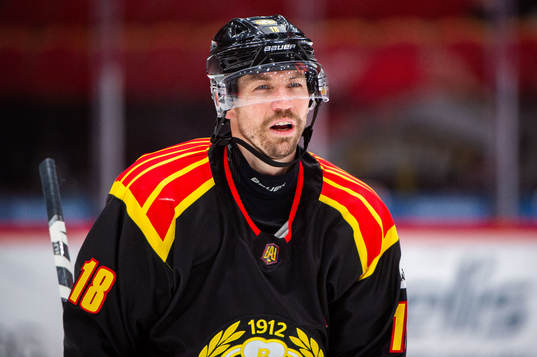 Brynäs Anton Rödin