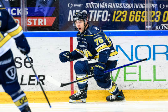 HV 71s Radan Lenc jublar
