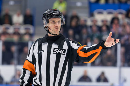 Domare Stefan Johansson