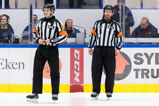 Domare Stefan Johansson och Domare Marcus Linde