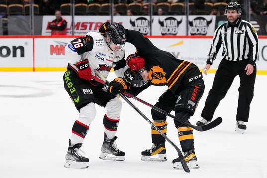 Malmö Redhawks Tomi Sallinen