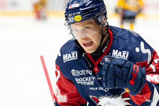 Linköpings Sebastian Strandberg jublar