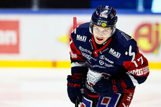 Linköpings Sebastian Strandberg jublar