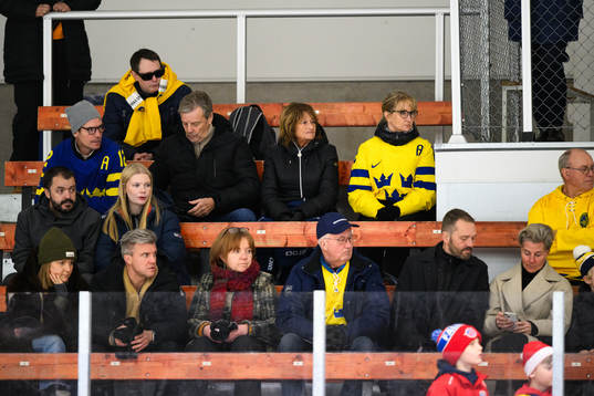 Sveriges supportrar