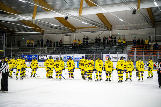 Sveriges spelare tackar publiken