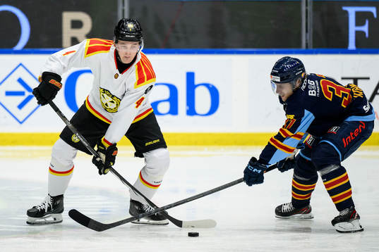 Brynäs Theo Lindstein och Djurgårdens John Norman