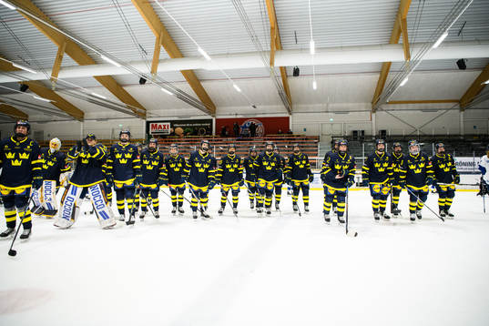 Sveriges spelare jublar