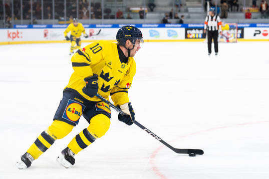 Andreas Wingerli of Sweden in the ice hockey game between