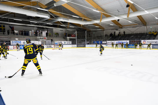 Sveriges spelare värmer upp