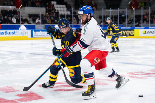 Andreas Wingerli of Sweden and Tomas Filippi of Czech