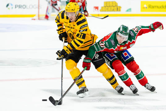 Skellefteås Max Lindholm och Frölundas Noah Hasa