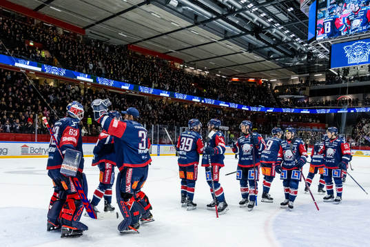 Linköpings spelare jublar med målvakt Marcus Högberg