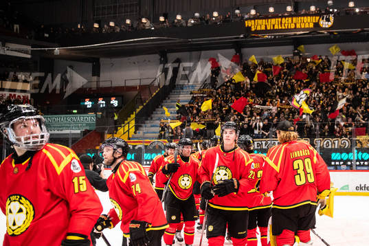 Brynäs spelare jublar