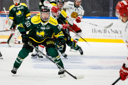 Östersunds Georgs Golovkovs