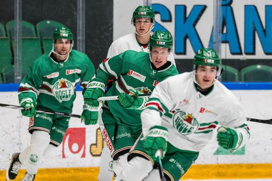 Anton Bengtsson