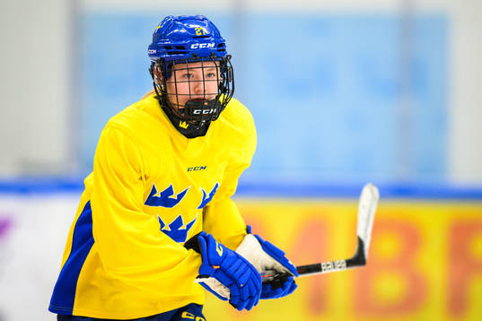 Anna Brenkle of Sweden at a practice session