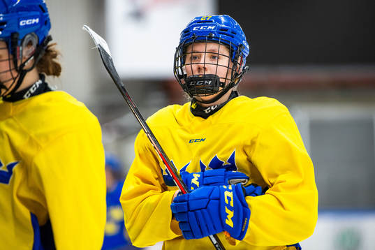 Anna Brenkle of Sweden at a practice session