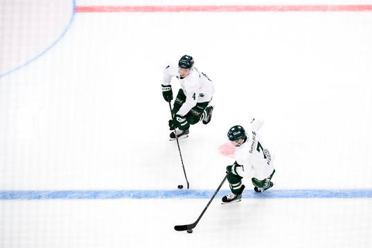 Färjestads Oscar Lawner