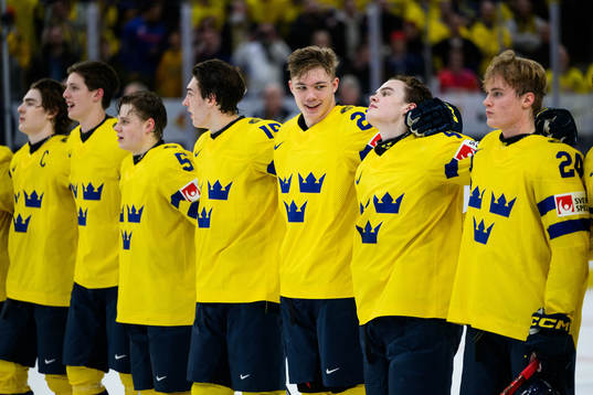 Liam Öhgren, Anton Johansson, Mattias Hävelid, David