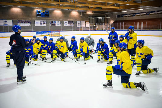 Players of Sweden at a practice session