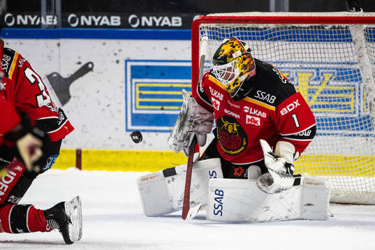 Luleås målvakt David Rautio