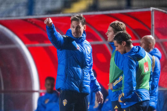 Interim head coach Daniel Bäckström, Erik Ahlstrand and