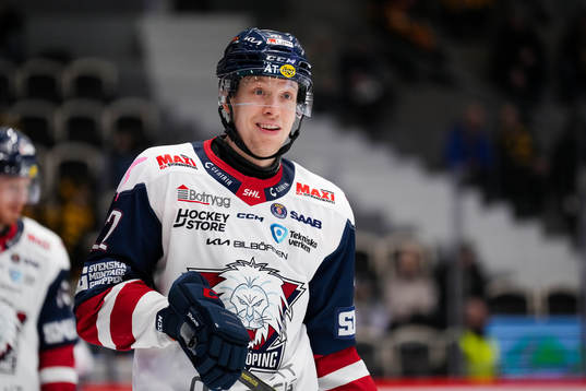 Linköpings Vilmos Gallo