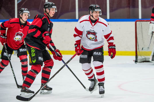 Malmö Redhawks William Von Barnekow och Tomi Sallinen
