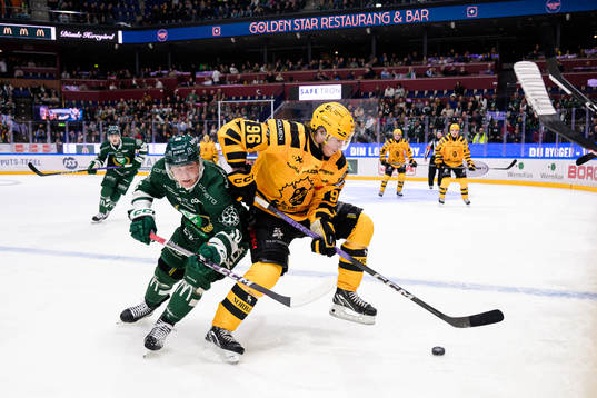 Färjestads Marcus Nilsson och Skellefteås Rickard Hugg