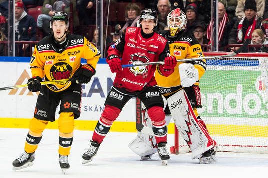 Malmö Redhawks Tomi Sallinen och Luleås målvakt Matteus