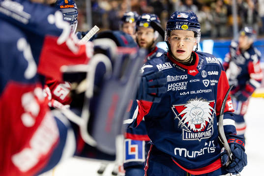 Linköpings Mattias Hävelid jublar