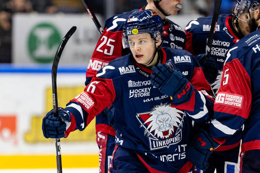 Linköpings Mattias Hävelid jublar