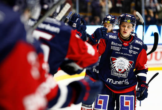 Linköpings Mattias Hävelid jublar