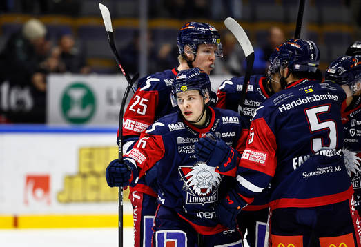 Linköpings Mattias Hävelid jublar