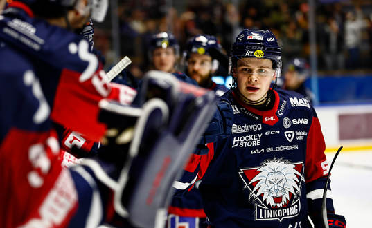 Linköpings Mattias Hävelid jublar