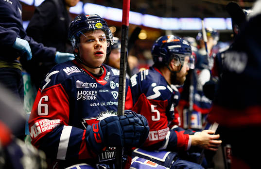 Linköpings Mattias Hävelid